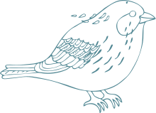 Einfache blaue Strichzeichnung eines Vogels mit detailliertem Gefieder, nach rechts blickend.